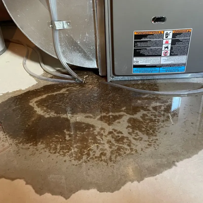 Pipe Burst and Leak Restoration in Woodcliff Lake, NJ